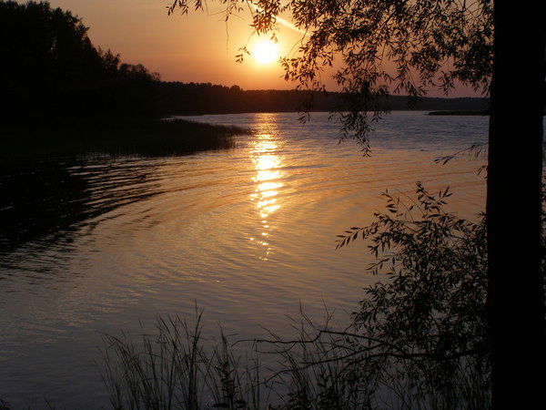 Ильсия Хусаинова