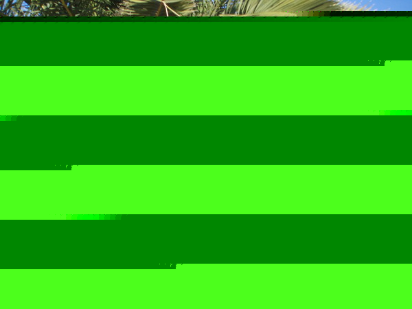 Николай Пищак