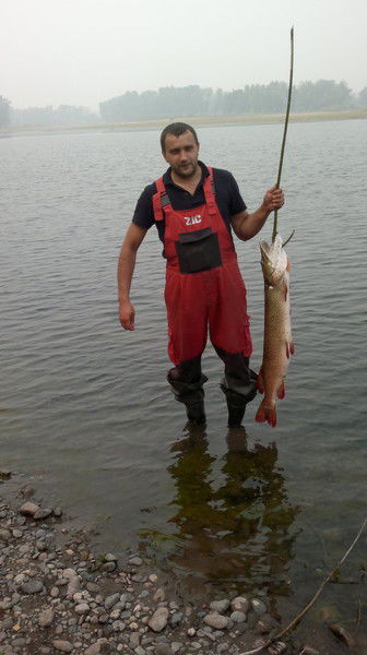 Андрей Игнатов