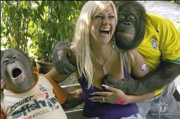 Валентин Максимов