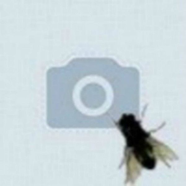 Роберт Гайфуллин