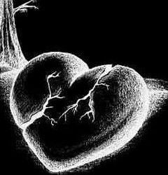 Сергей Сидоров