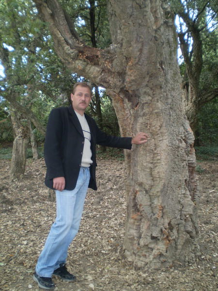 Алексей Головко