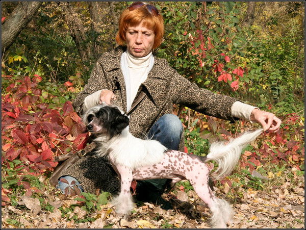 Светлана Пашкина