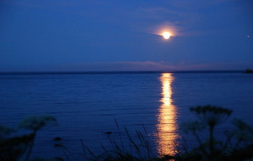 Алексей Юдин