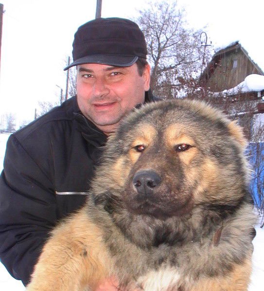 Вадим Шетов