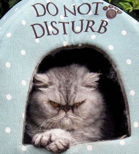 Дмитрий Гарбарук