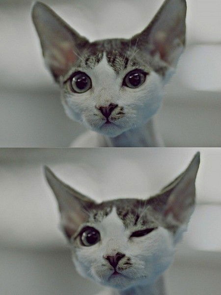 Светлана Ларионова