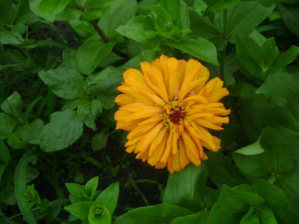 Наталья Фатьянова