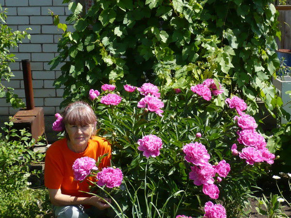 Люда Ананченко