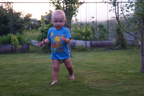 Роза Задумина