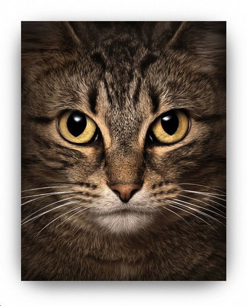 Наташа Доронина