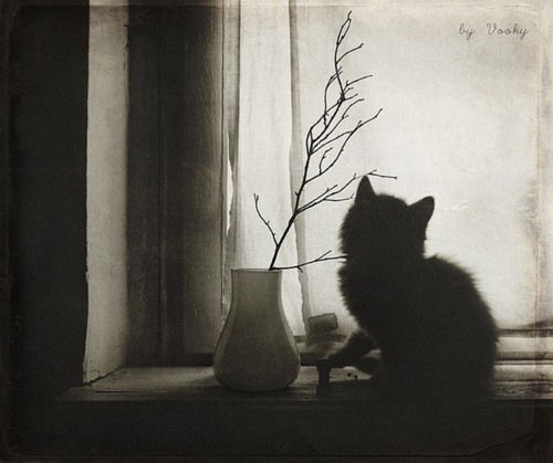 Маша Лифанова