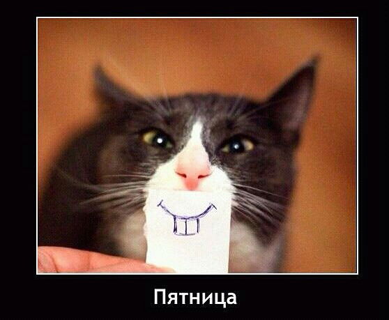 Александр Македонский