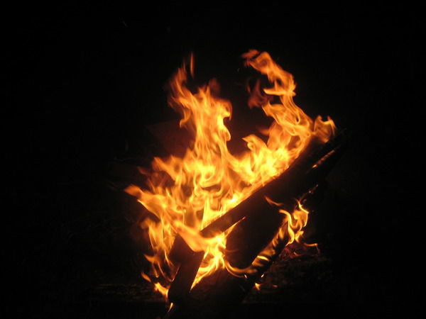 Дмитрий Павленко