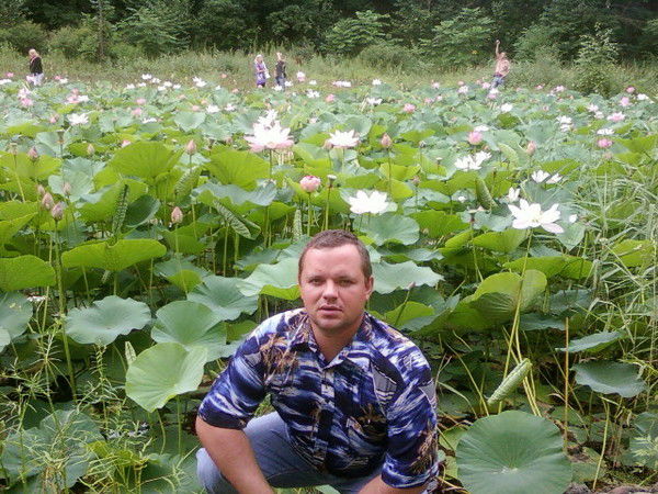 Алексей Лоскутников