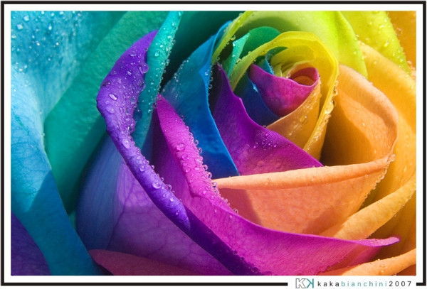 Элеонора Романова