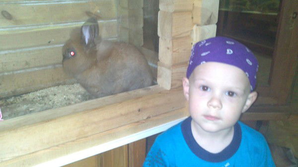 Арсений Панов