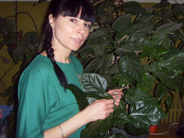 Олеся Алексеева