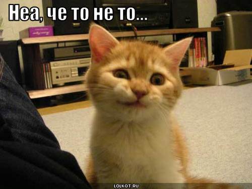 Виктория Ливиновая