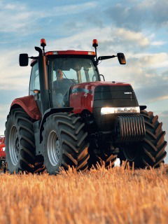 Виталий Буланов