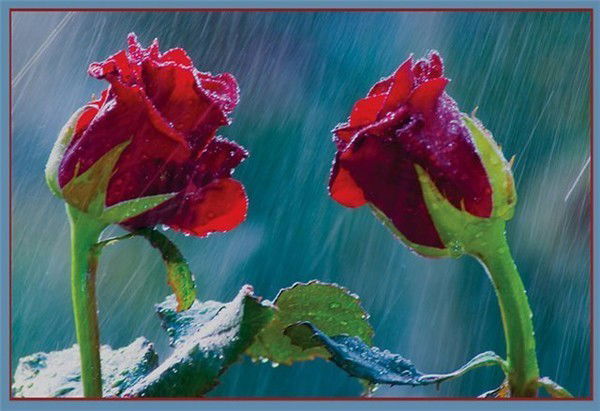 Айгерим Мирзахметова