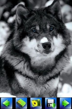 Вадим Григорьев