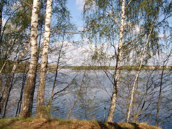 Березки Санаторий