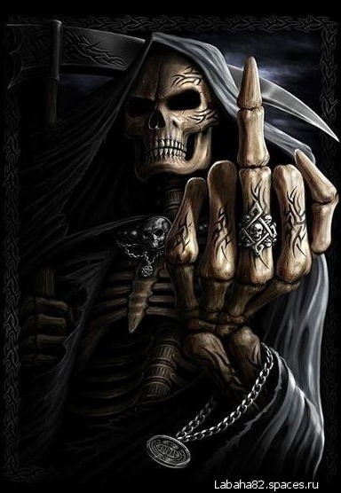 Про100 Ветал