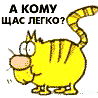 Владимир Костин