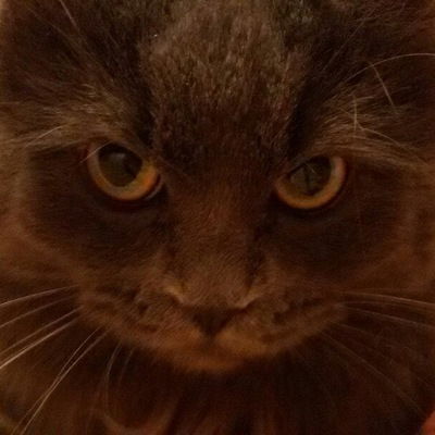 Александр Михайлов