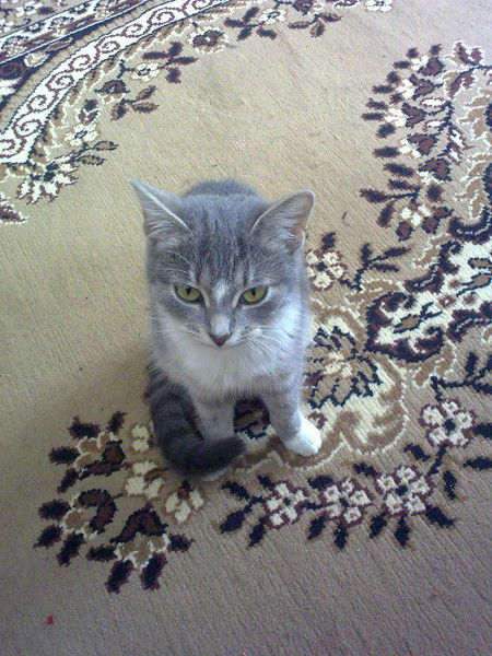 Сергей Савиночкин