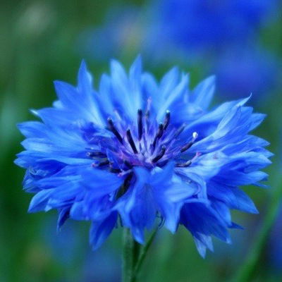 Федоров Юрий