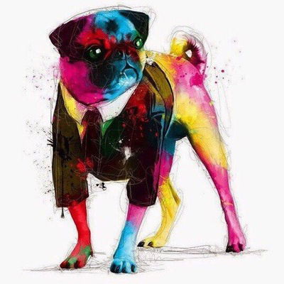 Арина Романи