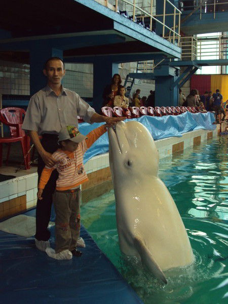 Арман Умбетов