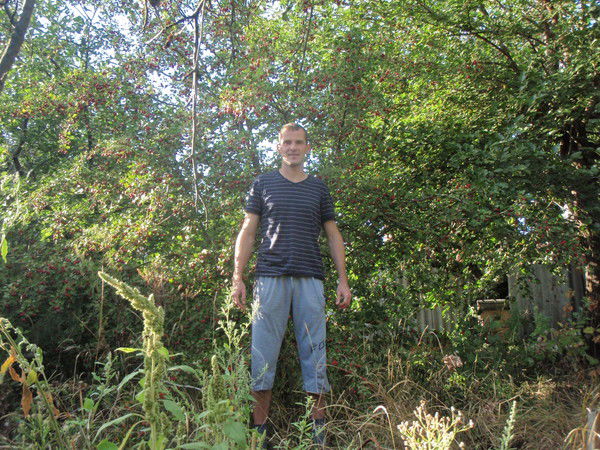 Владимир Ребрик