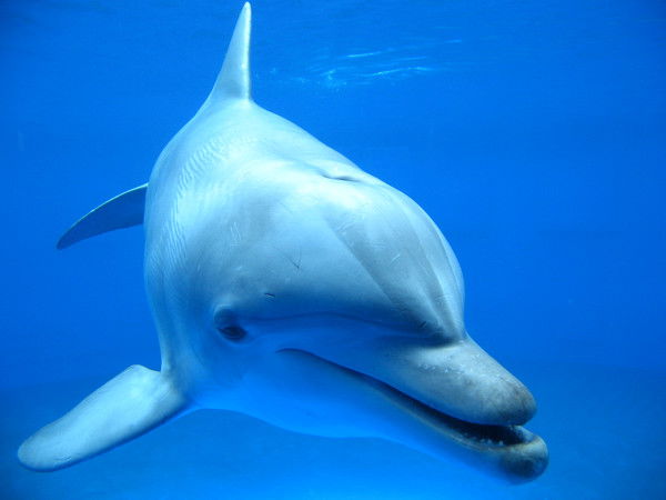 Виталий Хазизулин