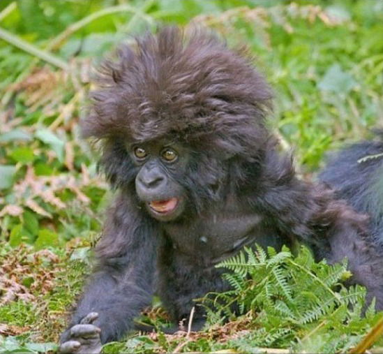 Евгений Саушкин