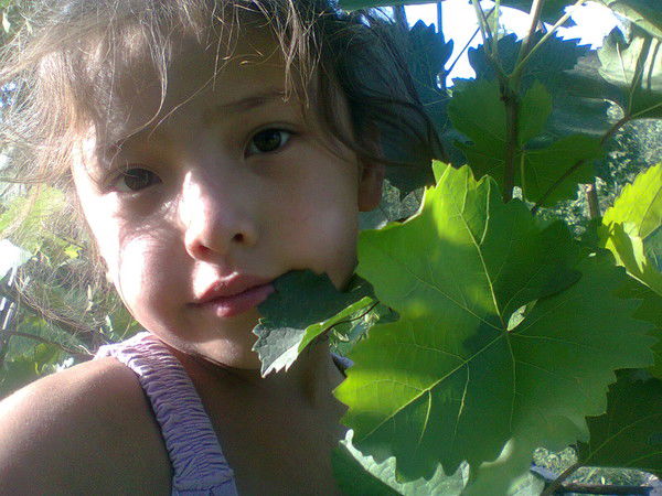 Асия Налибаева