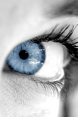 Светлана ))))))