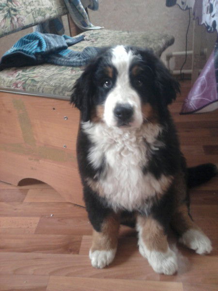 Любовь Голубинская