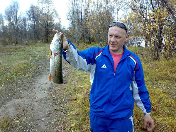 Александр Чаплыгин