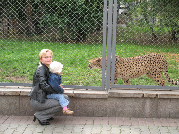 Евгения Гаврилина