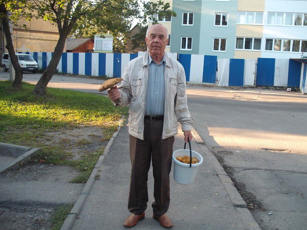 Николай Черленюк