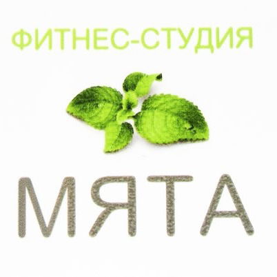 Фитнес-Студия Мята