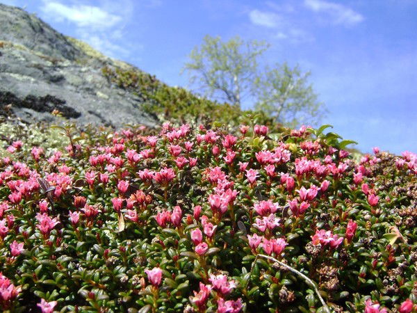 Маргарита Данилова