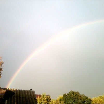 Майя Тумовская