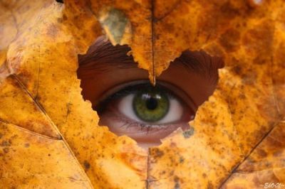 Пётр Вальваков