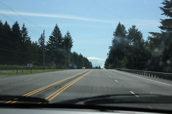 Александр Гаврюк