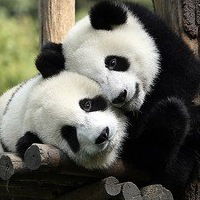 Елизавета Евтух